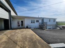 346 Beechdale Rd - 1